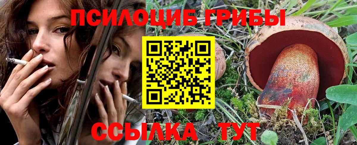 Галлюциногенные грибы прущие грибы  Вход с VPN  купить закладку  Северск 